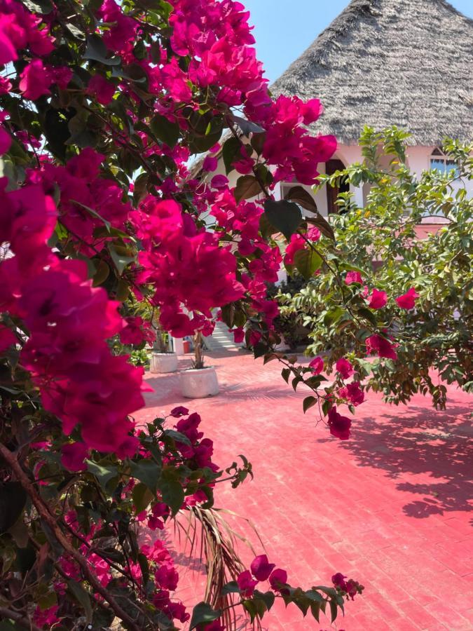 Villa Euphoria - Adults Only Paje Kültér fotó
